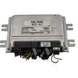 Engine Control / ECU 5WY1335B, 391102X001 KIA Rio 2002 2311024800, 39110-2X001