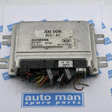 Engine Control / ECU 5WY1335B, 391102X001 KIA Rio 2002 2311024800, 39110-2X001