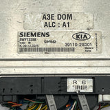 Engine Control / ECU 5WY1335B, 391102X001 KIA Rio 2002 2311024800, 39110-2X001