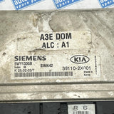 Engine Control Unit / ECU KIA Rio 2002 2311024800 391102X001 5WY1335B