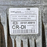 KIA Grand Carnival 39101-4X810 Engine control module ECU 391014X810