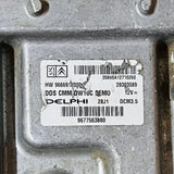 Peugeot Citroën Engine Control Unit 9666912580 9677563880 04D3 DCM3.5